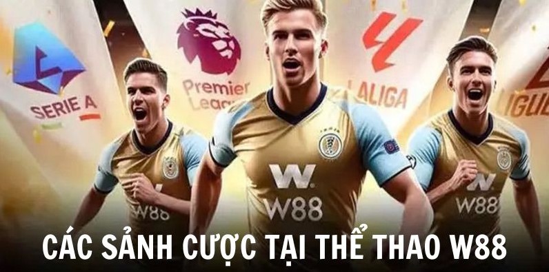 Thể Thao W88 - Sân chơi nhất định phải trải nghiệm trong 2025