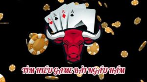 Trò chơi Ngầu hầm - Game bài hấp dẫn tại W88